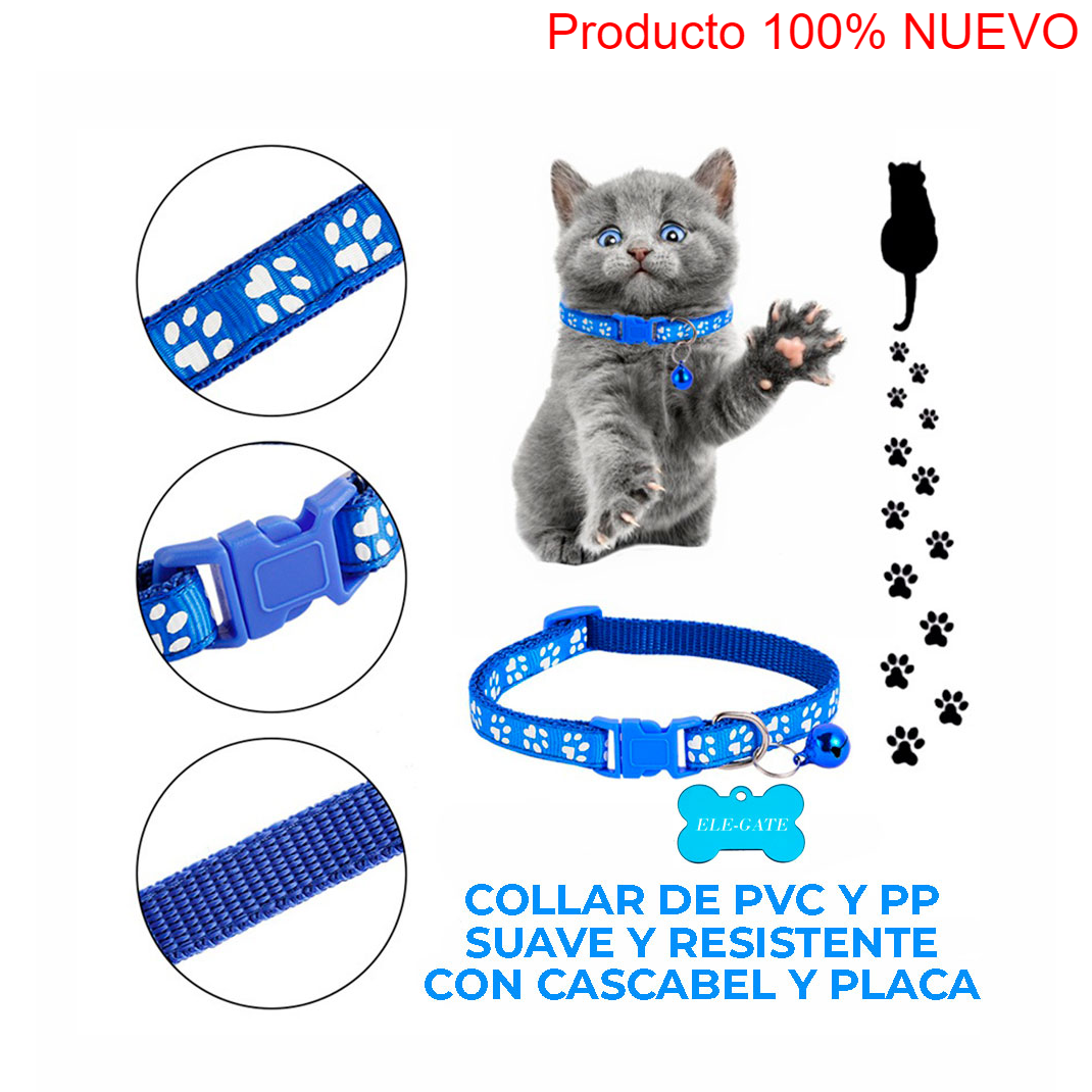 Producto