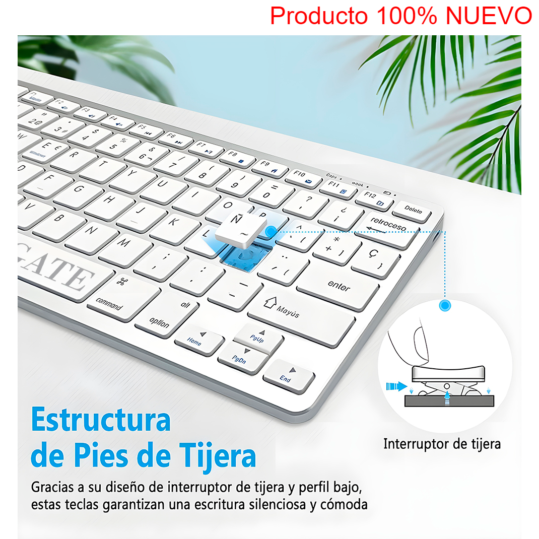 Producto